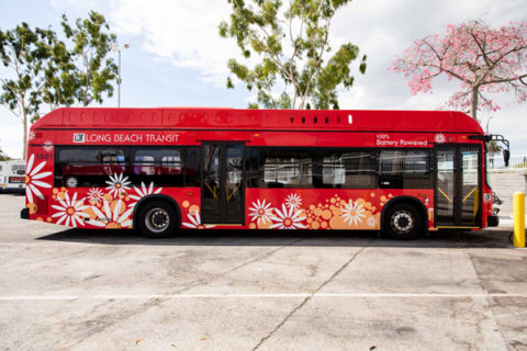 Long Beach Transit Purchases New Zero-Emission Battery-Electric Buses ...